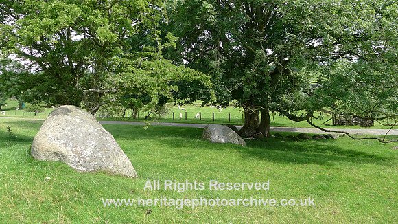 HRS 9899 Crosby Ravensworth, Shap granite erratics L1110539