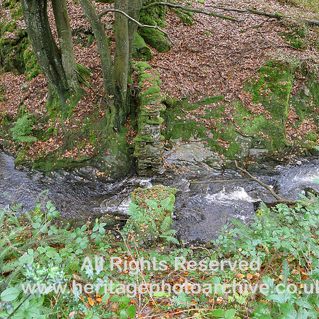 HRS 8623 Discontinuous dry stone wall near Satterthwaite L1170018