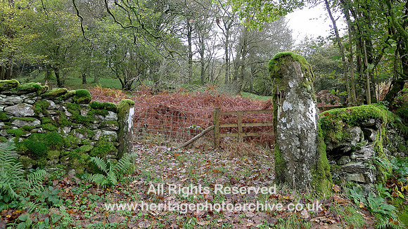HRS 8626 Grizedale, Gate stoops L1170003