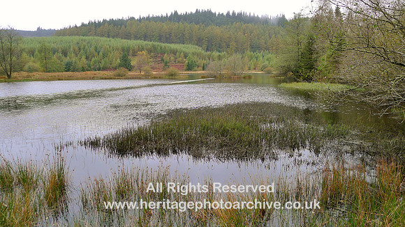 HRS 8630 Tarn near Satterthwaite SD 328917 L1170024