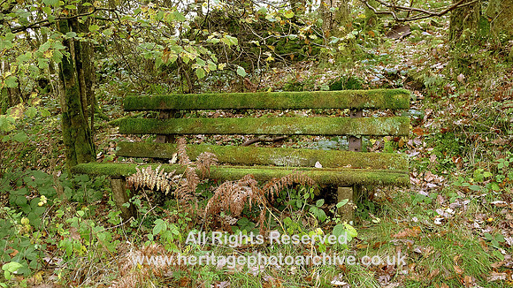 HRS 8632 The Green bench L1170002