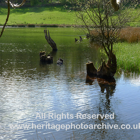 HRS 2255 Bouth, Haybridge Nature Reserve, Tarn