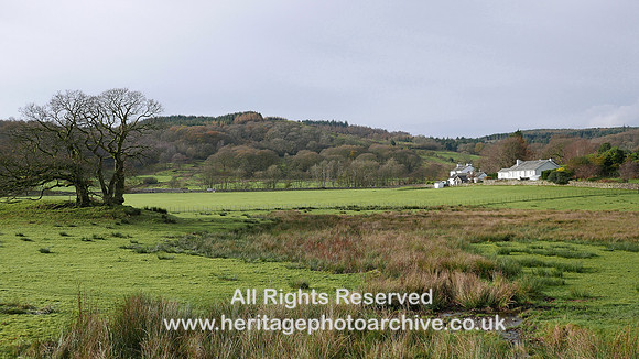 HRS 8697 Satterthwaite, view west from Cedar Bank