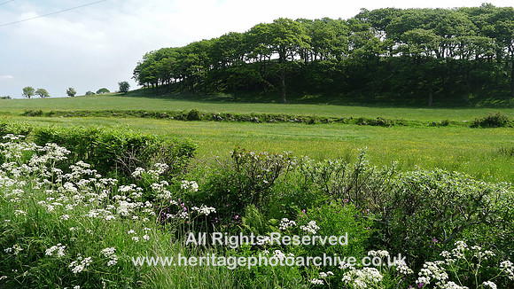 HRS 8723 Cartmel, Tram Wood causeway in spring 2013