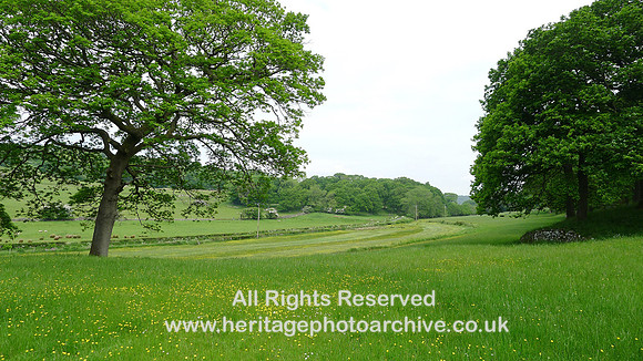 HRS 8726 Cartmel, Tram Wood valley and field