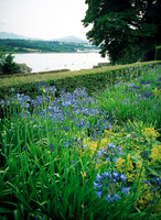 HRS 1203 Conwy, Bodnant Gardens a Afon Conwy c2000