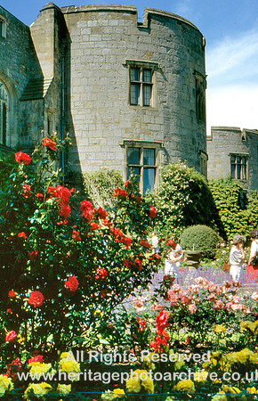 HRS 11631 Chirk Castle, roses etc 1980