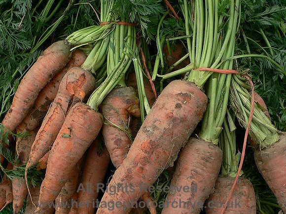 HRS 8809 Conwy, Food Festival carrots 2007