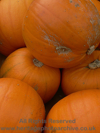 HRS 8810 Conwy, Food Festival pumpkins 2007