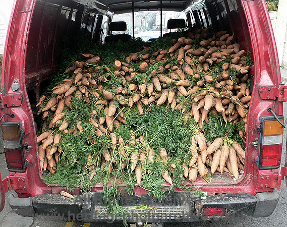 HRS 8811 Conwy, Food Festival van load of carrots 2007