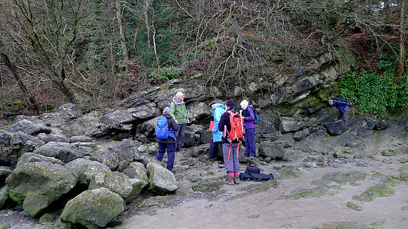 HRS 11646 Arnside Geologists examine the faulting in the limestone L1130149