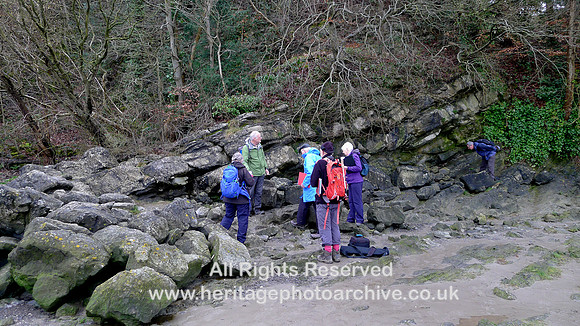 HRS 11646 Arnside Geologists examine the faulting in the limestone L1130149