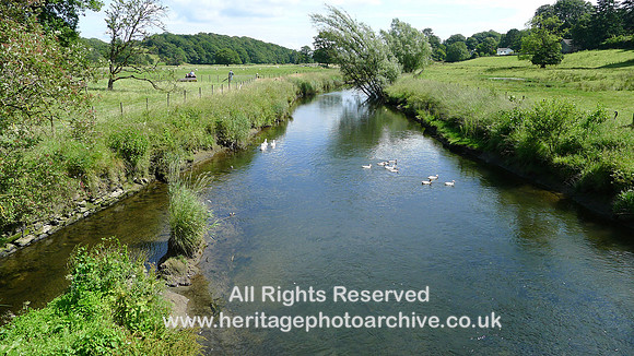 HRS 8849 Penny Bridge River Crake summer 2011 L1010635