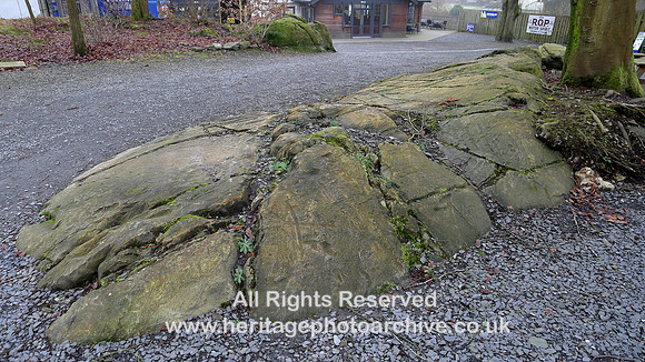 HRS 11668 Backbarrow motor museum site , glacially scoured Bannisdale rock, striae