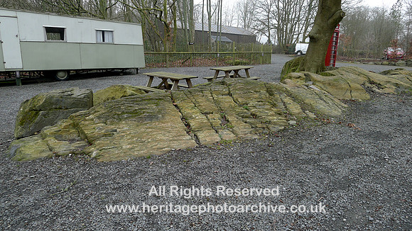 HRS 11667 Backbarrow Motor Museum site, Glacially sculptured rocks, Bannisdale series