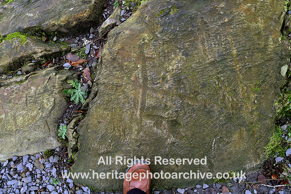 HRS 11669 Backbarrow Motor Museum site,   Glacially scoured Bannisdale rock striae