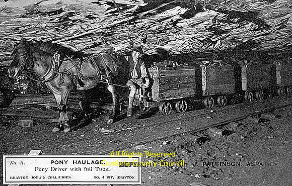 Pony haulage Brayton Domain no4  Pit c1910