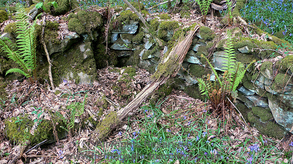 HRS 8864 Low Nibthwaite,  Interior bark peeler's hut L1140436