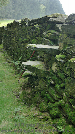 HRS 8866 Low Nibthwaite, Arlid Wood, DSW stile L1150790