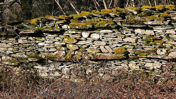 HRS 9058 Witherslack area, coursed dry stone walling L7710299