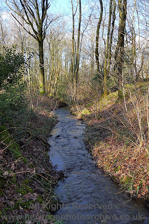HRS 9066 Whitbarrow, winter resurgence stream flowing N L1170199