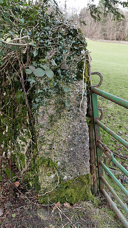 HRS 9072 Whitbarrow, nr Rawson's limestone stoop with horseshoes L7710327
