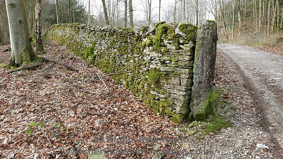 HRS 9074 Whitbarrow, Rawson's Wood allotment wall and stoop L7710320