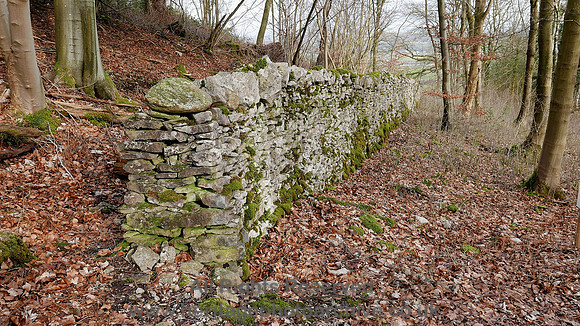 HRS 9075 Whitbarrow, Rawson's Wood allotment wall opp stoop L7710322
