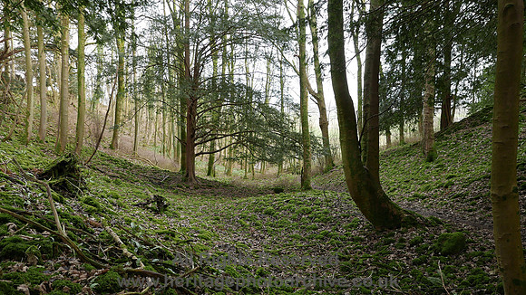 HRS 9076 Whitbarrow, woodland in winter above Rawson's L7710332