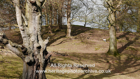 HRS 9080 Holker, Deer watch L7710345