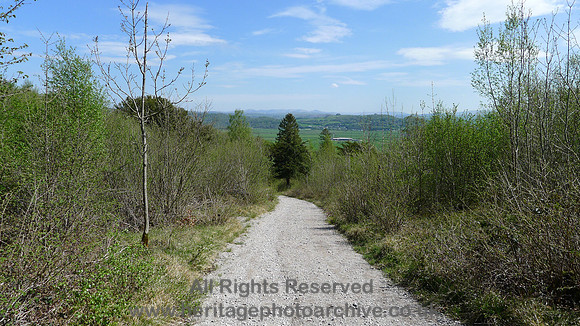 HRS 9085 Whitbarrow, forest road SD 457858