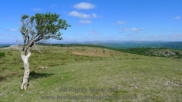 HRS 9090 Howgills from Whitbarrow karst L1130384