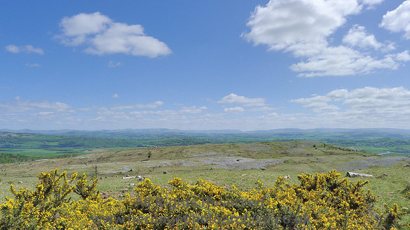 HRS 9091 Whitbarrow karst looking northwards L1130387