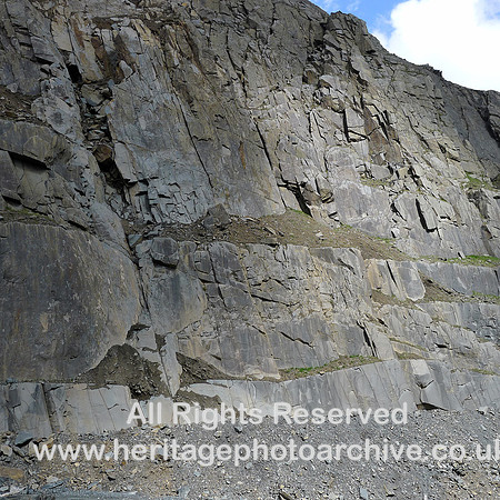 HRS 9160 Kirkby Quarries, rock face L1060416