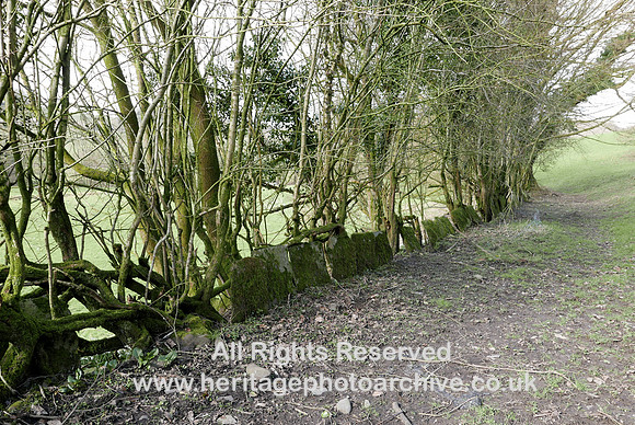 HRS 9203 Penny bridge furnace site slab wall L7710517