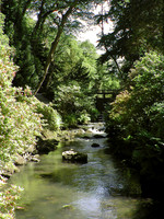 HRS 5325 Bodnant Gardens 2004 (9)