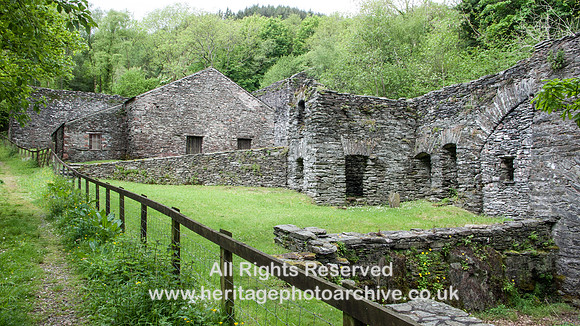 HRS 9232 Duddon Furnace and ironworks May 2009 L1090884