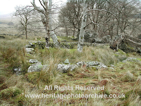 HRS 5121 Cynefail near Llyn Celyn 2010