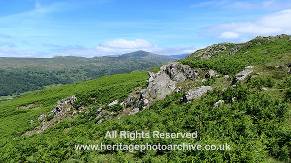 HRS 11200 Dunnerdale, top view across to Old Man of Coniston 2022