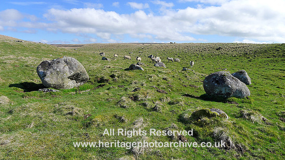 HRS 9257 Great Asby Scar, Glacial erratics of Shap granite in ice-melt zone NY 634 114