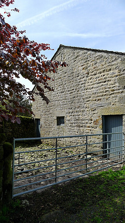 HRS 9287 Tarnbrook, barn-yard portrait L1170413