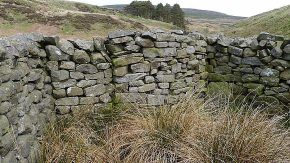 HRS 9291 Tarnbrook, Pea Carr Barn, sheepfold interior dry stone walls L1170396