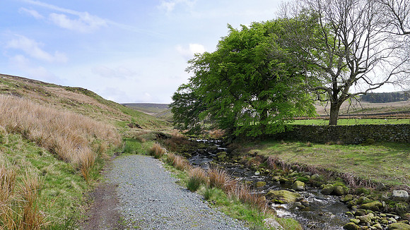 HRS 9297 Tarnbrook, Pea Carr barn track washout L1170391