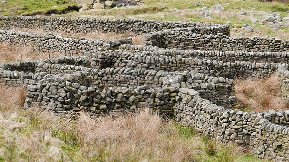 HRS 9299 Tarnbrook, Pea Carr Barn, close up of stone in sheepfold L7710962