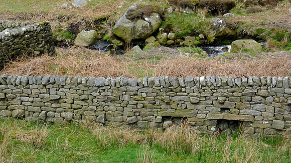 HRS 9301 Tarnbrook, Pea Carr Barn, long wall with hog-holes L1170400