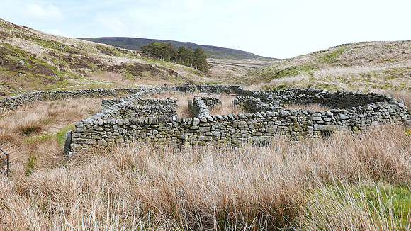 HRS 9305 Tarnbrook, Pea Carr Barn, sheep fold looking upstream L7710946