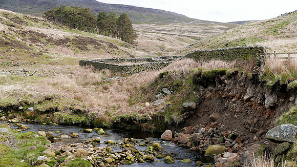 HRS 9306 Tarnbrook, Pea Carr Barn, sheepfold and bank erosion L7710944