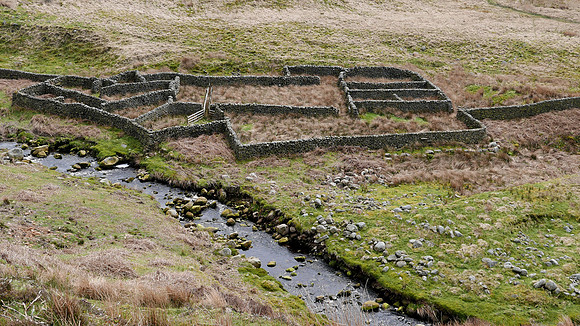 HRS 9308 Tarnbrook, Pea Carr Barn, sheepfold from above looking SE L7710971