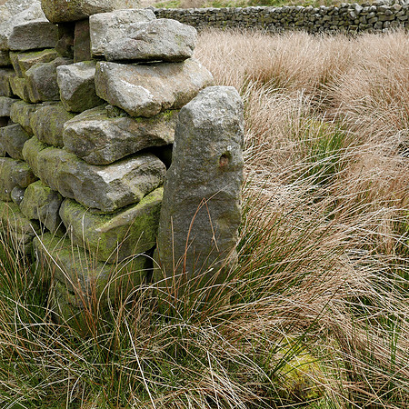 HRS 9310 Tarnbrook, Pea Carr Barn, sheepfold stoop L7710947