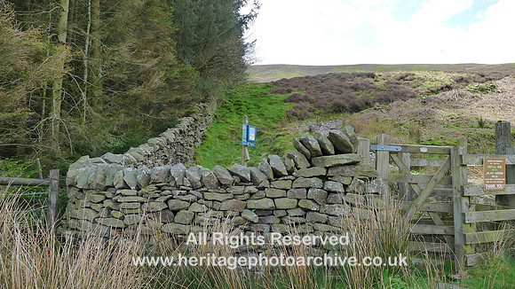HRS 9273 Dunsop Valley, dry stone wall near woodland L1170442